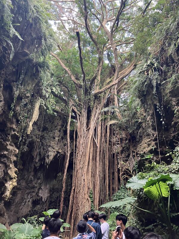 ガンガラーの谷