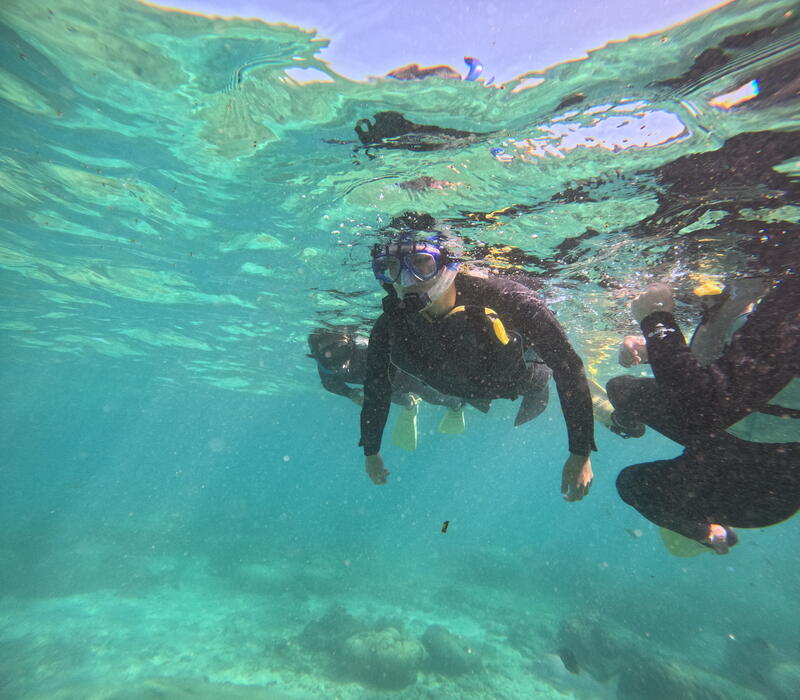 シュノーケリング